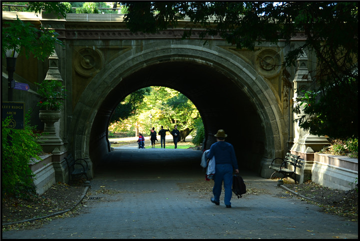 DSC_5458.jpg