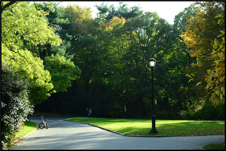 DSC_5629.jpg