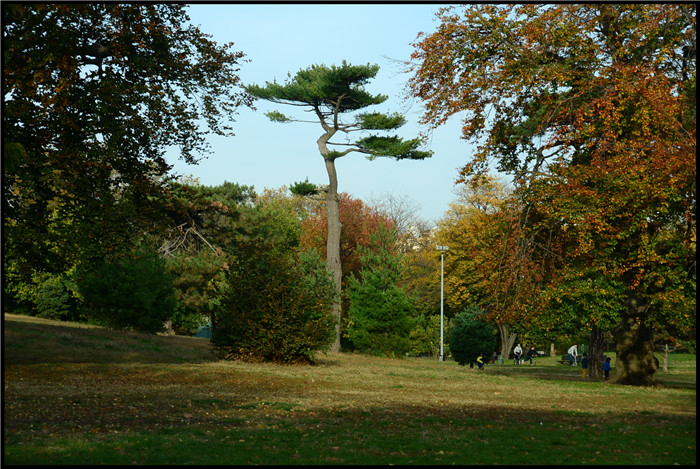 DSC_5785.jpg