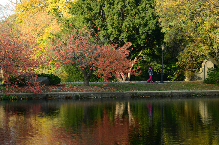 DSC_6172_.jpg