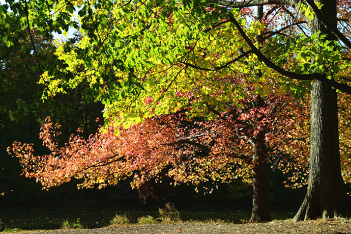 DSC_5480__.jpg