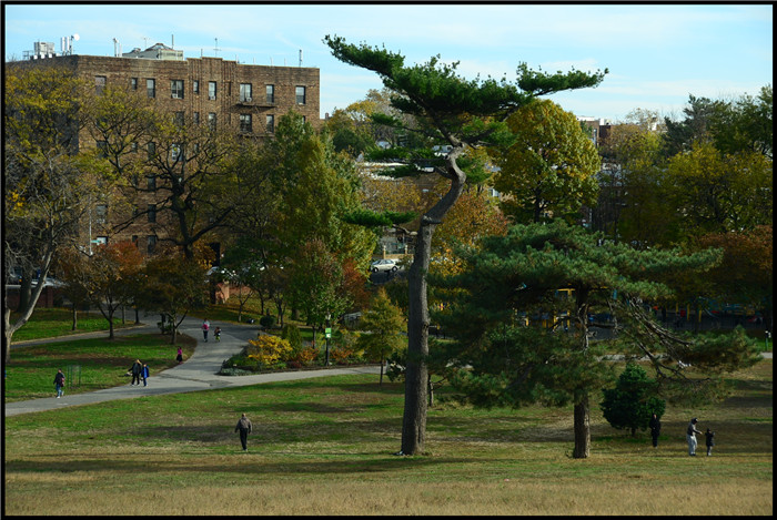 DSC_5708.jpg
