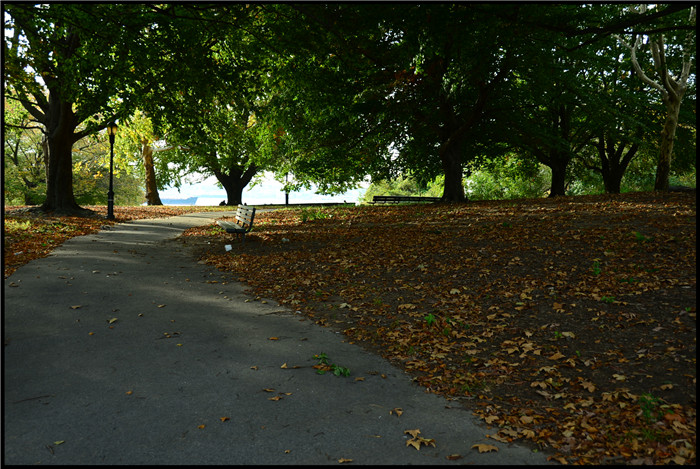 DSC_5732.jpg