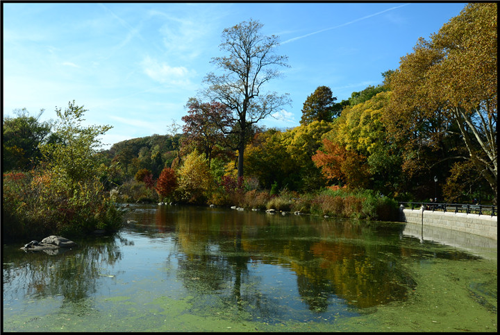 DSC_5435.jpg