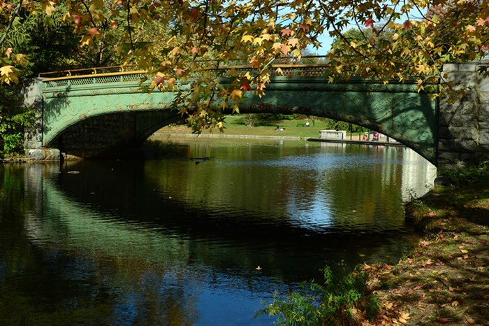 DSC_5489_.jpg