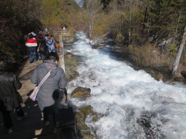 IMG_5036.JPG