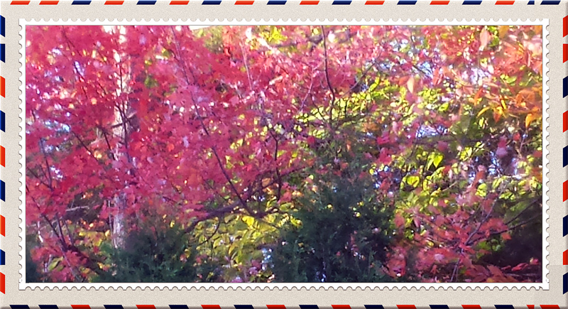 2014-10-12 17.36aa.jpg