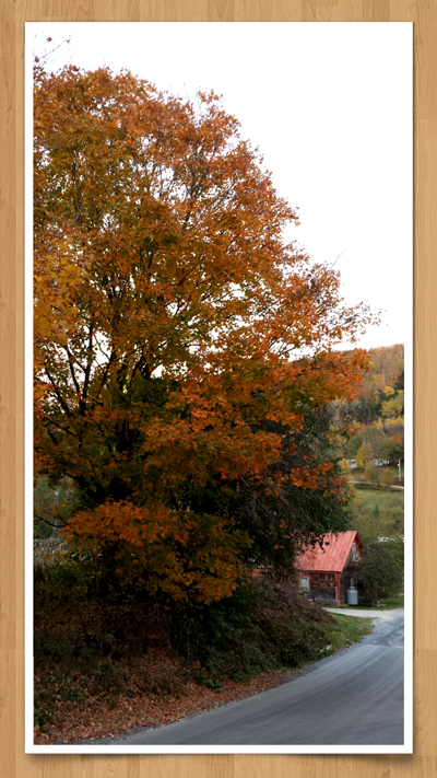 2014-10-14 21.53aa.jpg