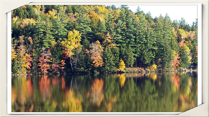 2014-10-12 17.41aa.jpg