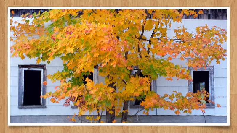 2014-10-14 21.52aa.jpg