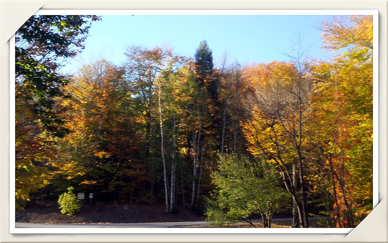 2014-10-12 17.21aa.jpg