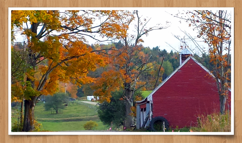 2014-10-13 20.39aa.jpg