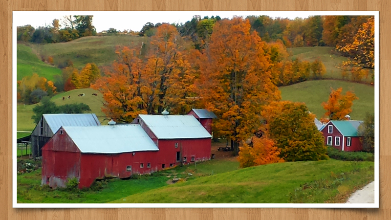 2014-10-13 21.16aa.jpg