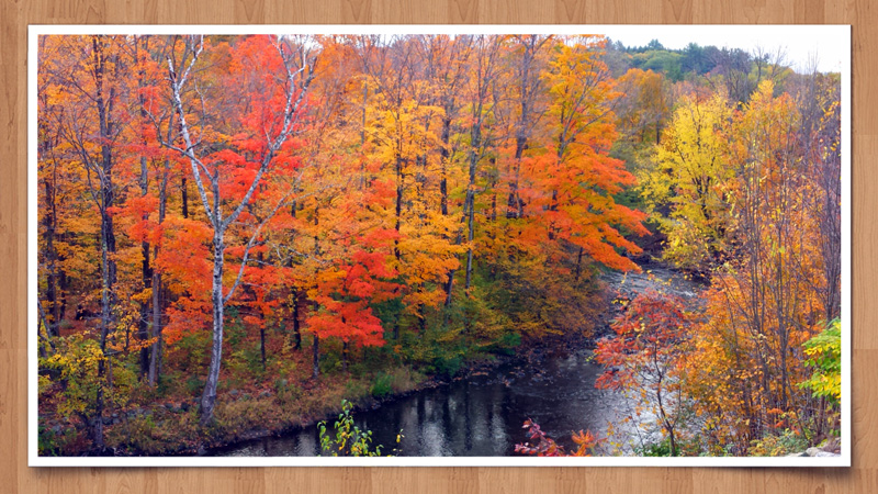 2014-10-14 12.25aa.jpg