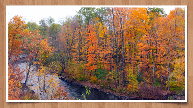 2014-10-14 12.27aa.jpg