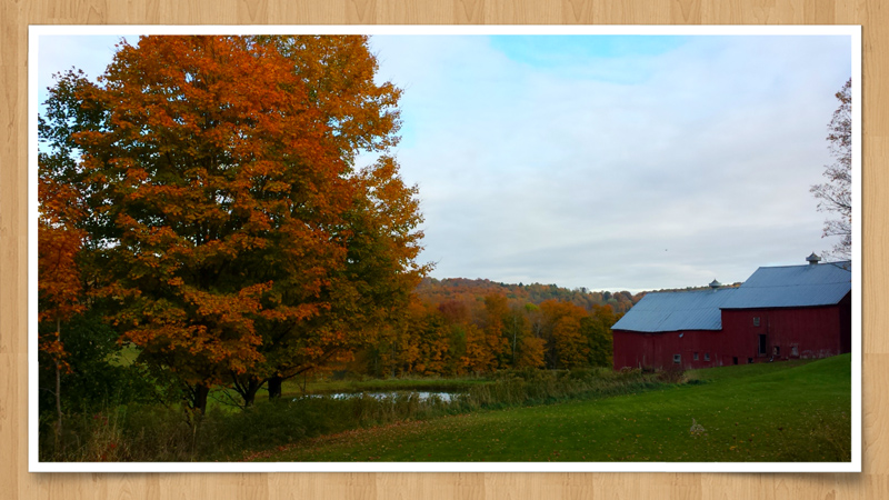 2014-10-13 20.42aa.jpg