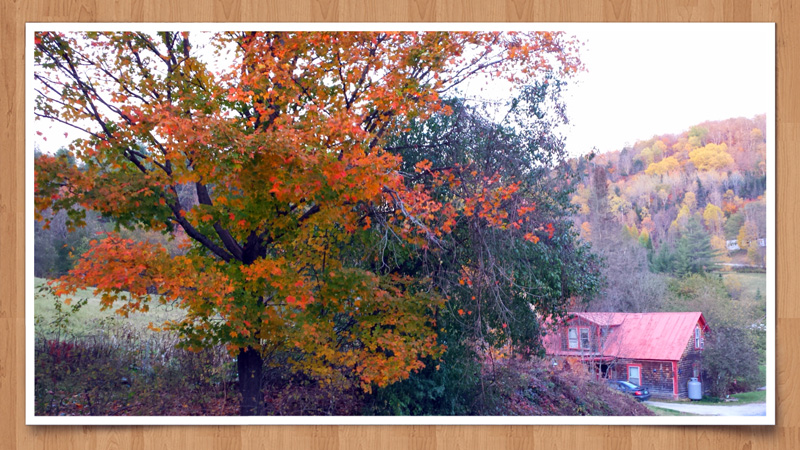 2014-10-14 21.51aa.jpg