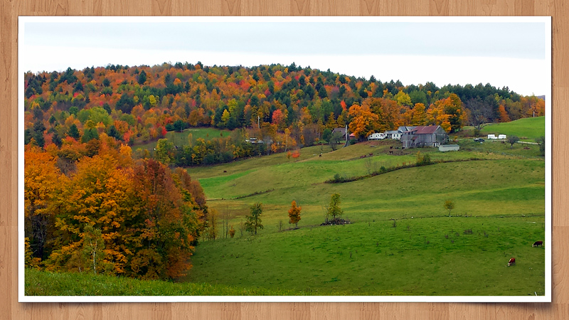 2014-10-13 20.45aa.jpg