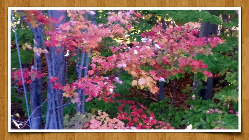 2014-10-12 17.24aa.jpg