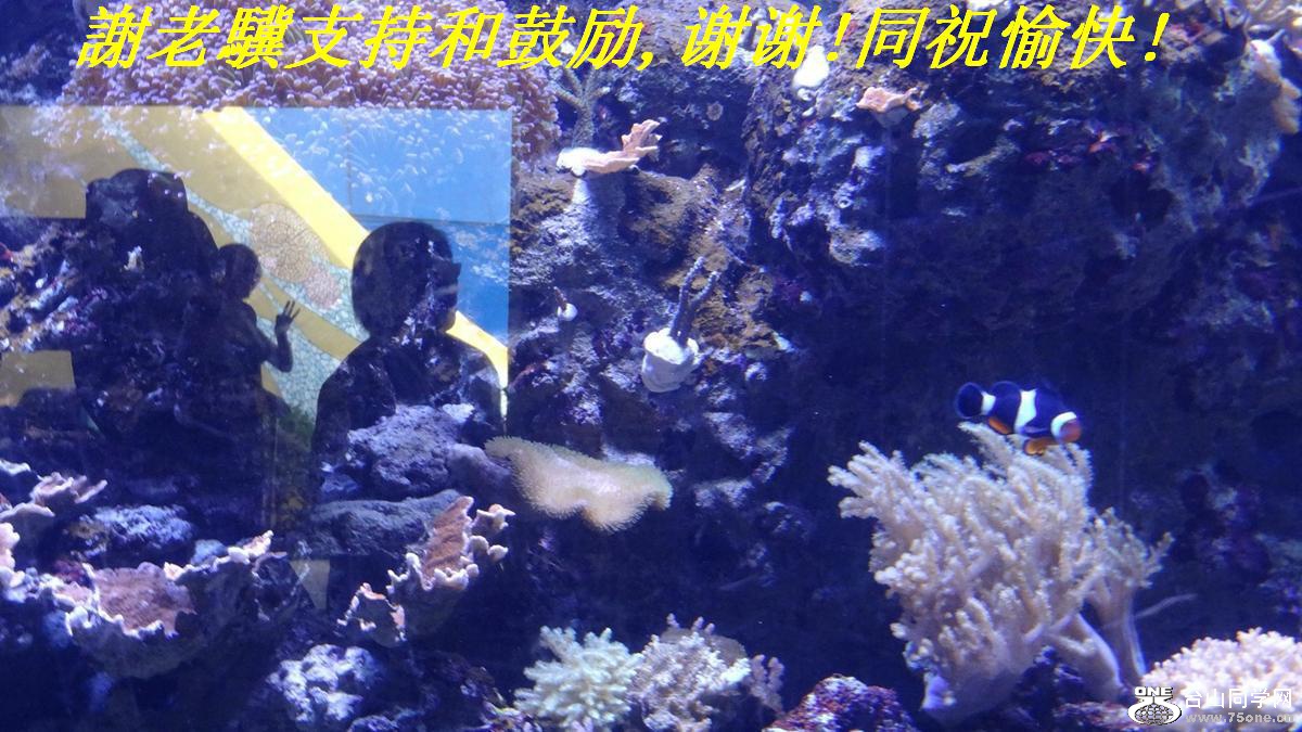 xKֺ֧͹,лл!ͬף!.JPG