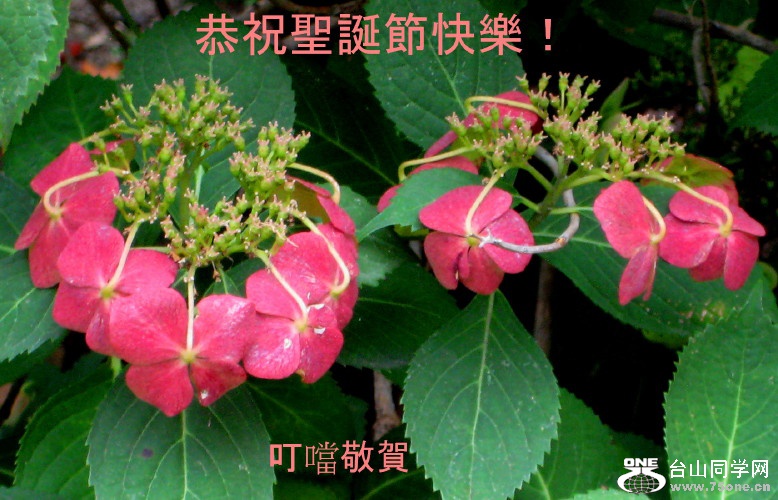 IMG_0003b_1.jpg