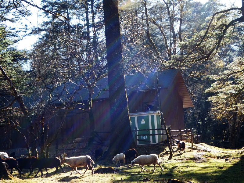 DSCF8617.jpg