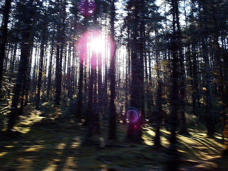 DSCF8623.jpg
