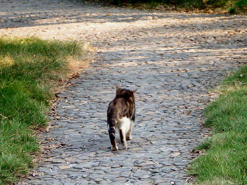 DSCF6359.jpg
