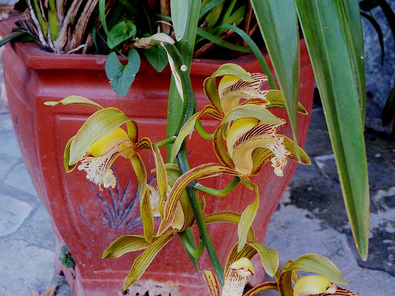 DSCF7724.jpg