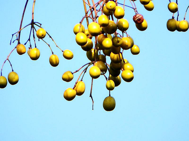 DSCF9619.jpg