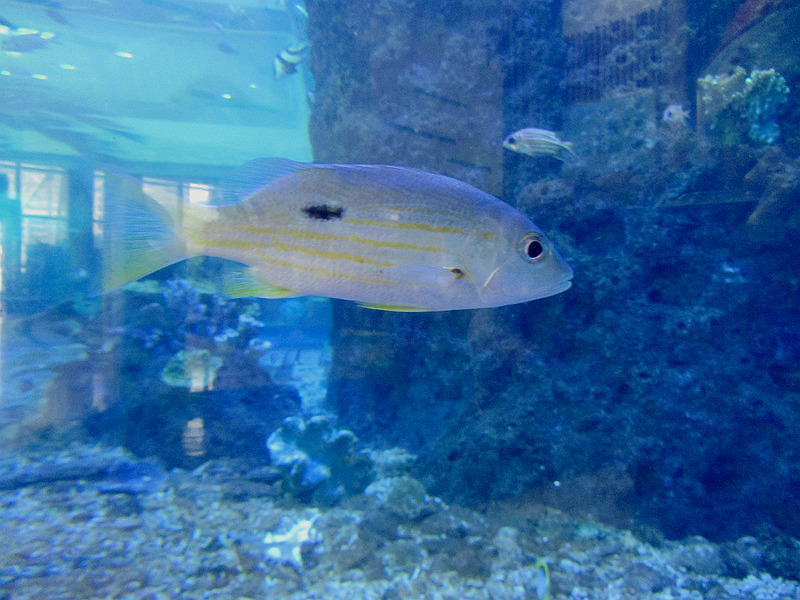 IMG__1557.jpg