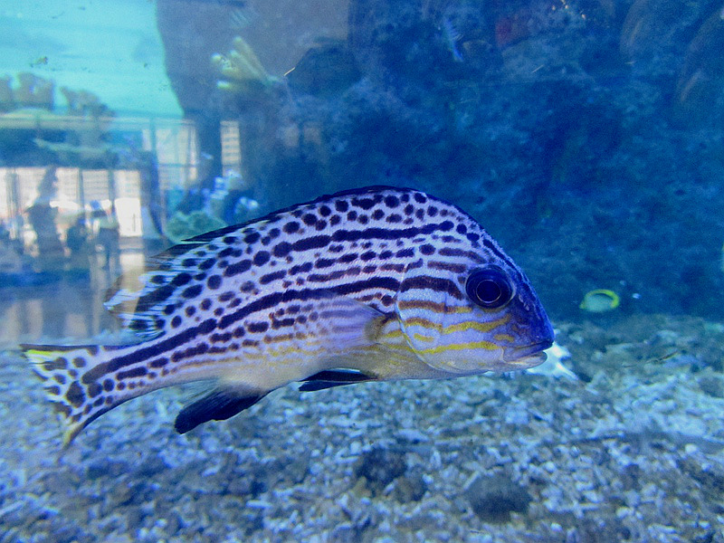 IMG__1556.jpg