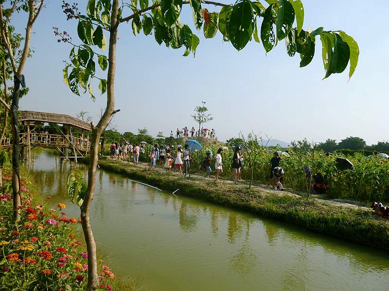 DSCF0011.jpg