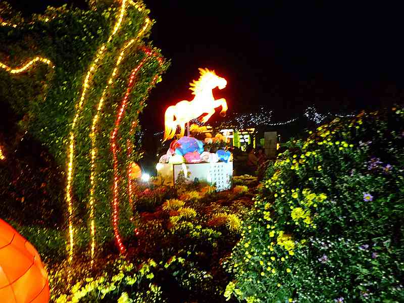 DSCF0040.jpg
