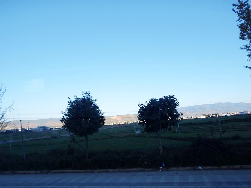 IMG_7855.jpg