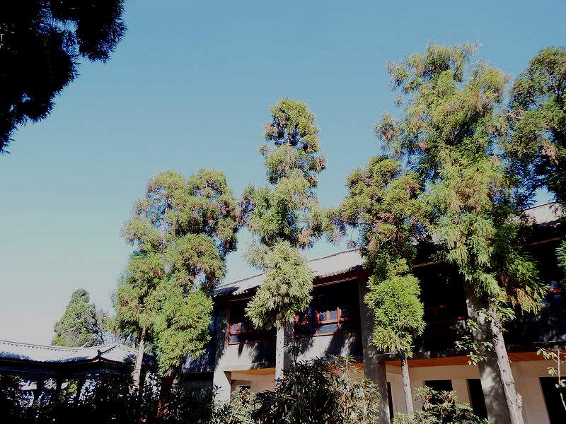 DSCF7709.jpg