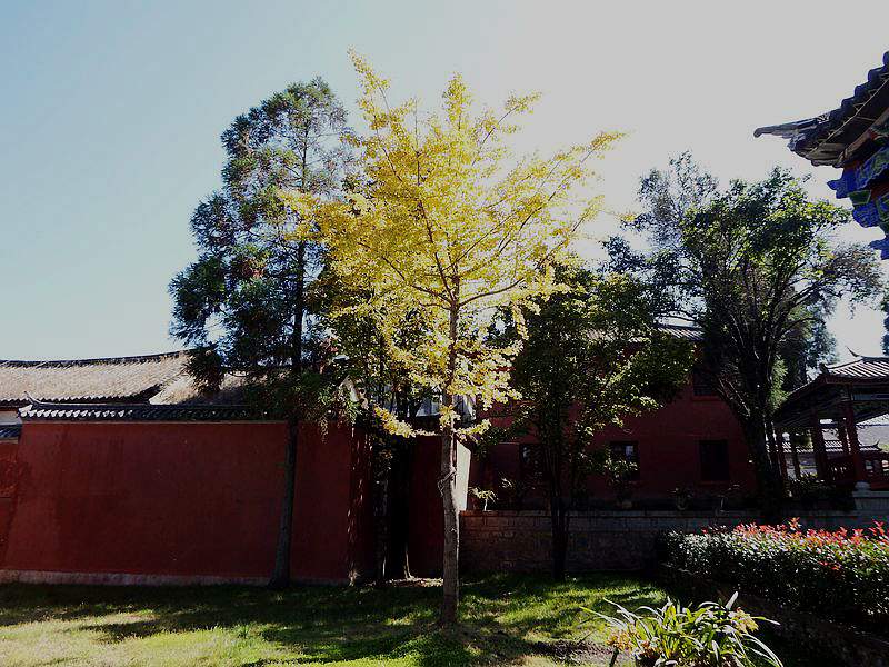 DSCF7701.jpg