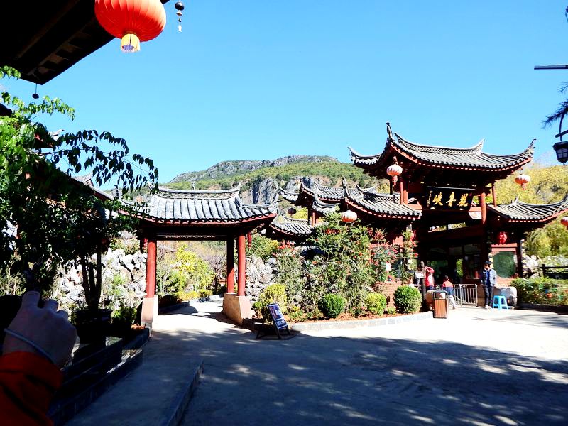 DSCF8132.jpg
