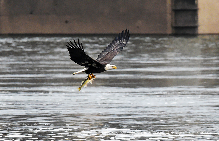 DSC_5008.JPG