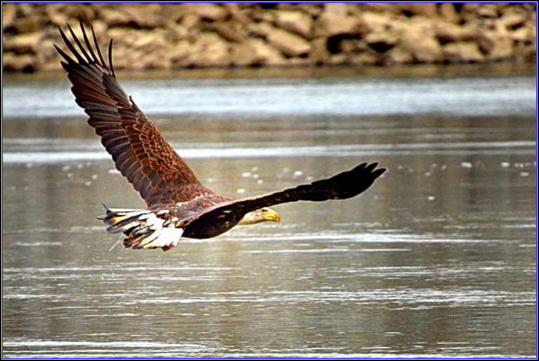 DSC_0452_.jpg