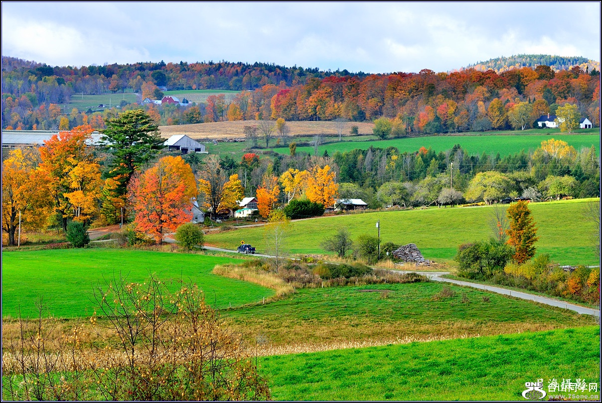 DSC_8817__.jpg