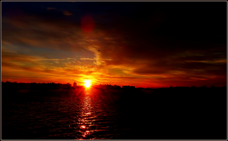 dsc00413_.jpg