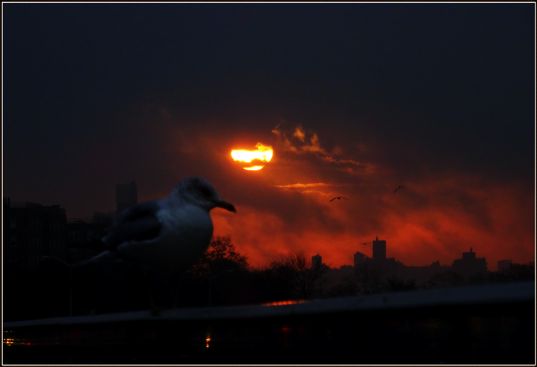 dsc00518_.jpg