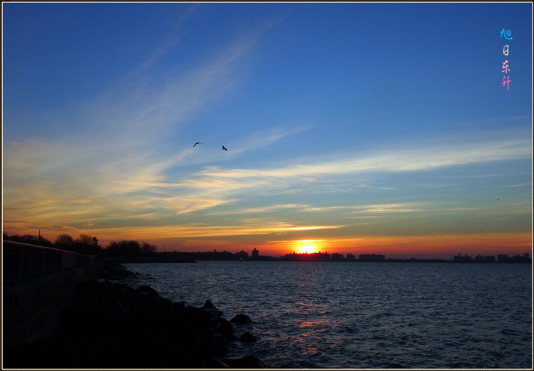 dsc00549_.jpg