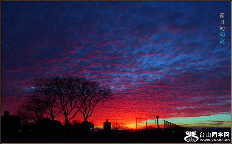 dsc00712_.jpg