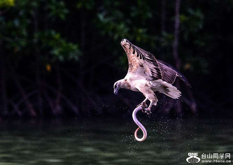 Langkawi123120140523a.jpg