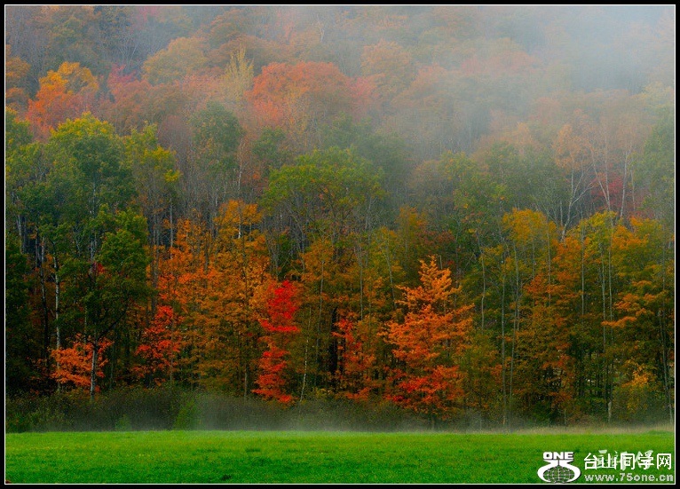 DSC_7177.jpg