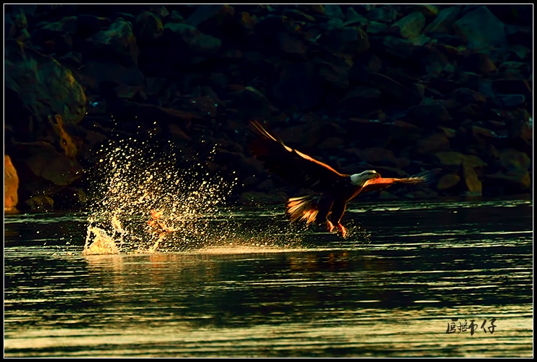 DSC_9161a.jpg