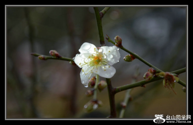 DSC_3164_1.JPG