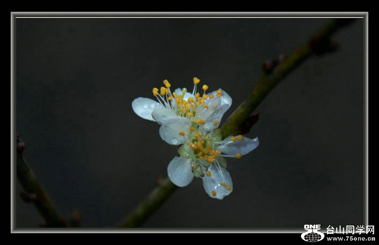 DSC_3216_1.JPG